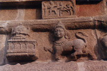 purushamriga, Fig. 17.