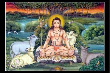 http://www.deinayurveda.net/wordpress/wp-content/uploads/2009/08/Siddha-Siddhanta-Paddhati.jpg