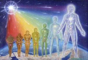 Yoga Evolution
