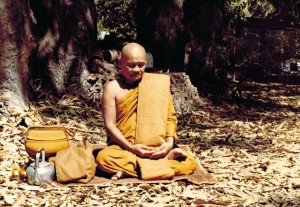 FOREST SANGHA