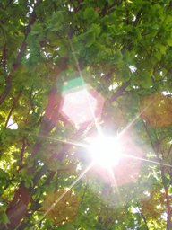spiritualvision
