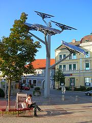 Gleisdorf_Solarbaum