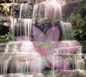 dana mudra