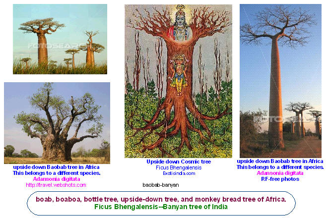 taittiriya upanishad quotes taittiriya upanishad quotes