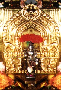 dhanvantari