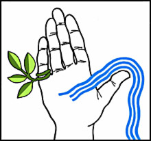 mandaean-union-logo