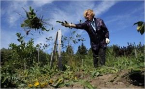 Svetlana Arbuzova, a scientist at the Pavlovsk Research Station, weeds near a cherry seedling