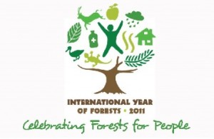 2011 International Year of Forest