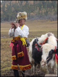 drokpa
